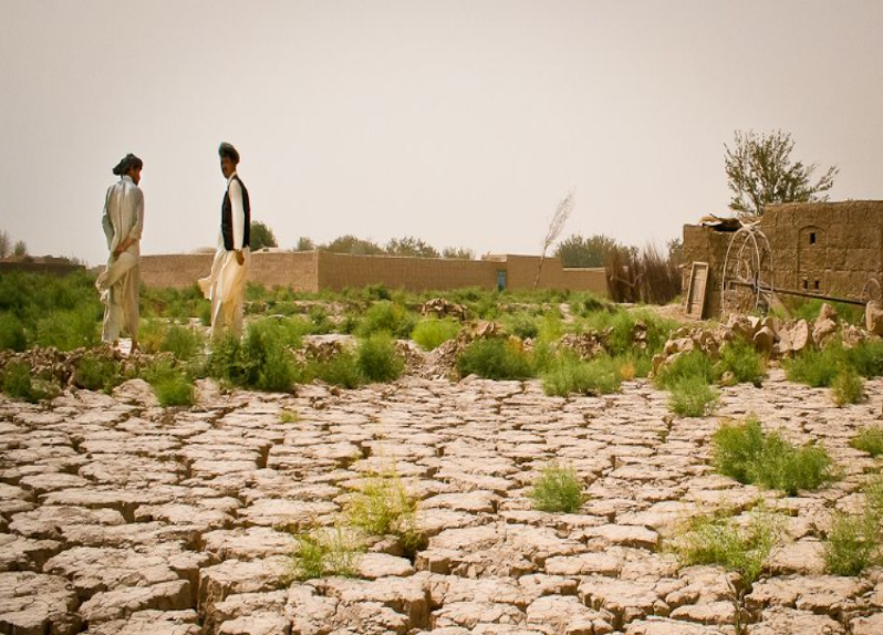 Desertification-1-e1611857399872