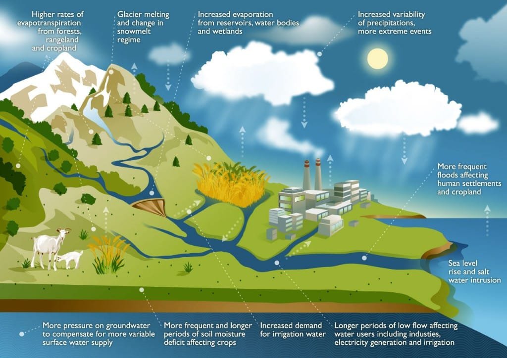 water_cycle_infographic_fao
