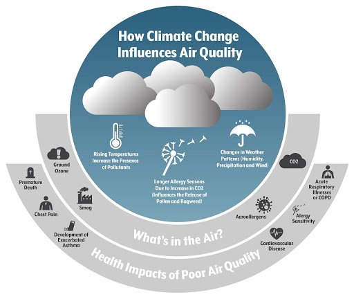 whatsintheair_infographic