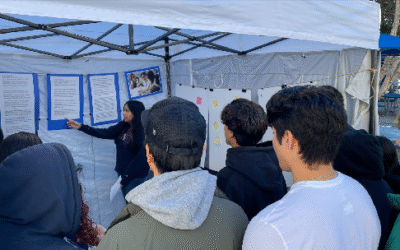 SAMO Collaborates on Their SBRR